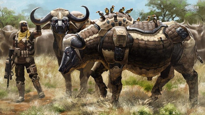 Golang 的 Web 框架该怎么选择？Web 开发又该怎样学？